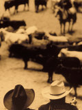 Cowboys at Indoor Rodeo, Fort Worth, Texas, USA