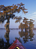 Buy Kayak Exploring the Swamp, Atchafalaya Basin, New Orleans, Louisiana, USA at AllPosters.com