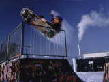 Gleeful Skateboarder