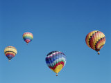 Buy Colorful Hot Air Balloons in Sky, Albuquerque, New Mexico, USA at AllPosters.com