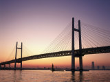 Buy Rainbow Bridge, Toyko, Japan at AllPosters.com