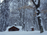 Log Cabin in Snowy Woods, Chippewa County, Michigan, USA