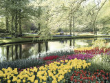 Keukenhof Gardens, Lissa, Netherlands