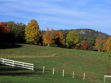 Buy Horse Farm in New England, New Hampshire, USA at AllPosters.com