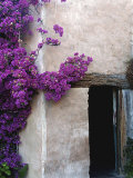 Carmel Mission, Carmel, California, USA