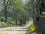 Old Iron Works Road, Lexington, Kentucky, USA