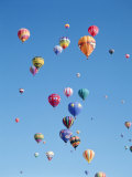 Buy Colorful Hot Air Balloons in Sky, Albuquerque, New Mexico, USA at AllPosters.com