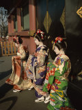 Apprentice Geisha (Maiko), Women Dressed in Traditional Costume, Kimono, Kyoto, Honshu, Japan