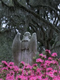 Buy Bonaventure Cemetery, Savannah, Georgia, USA at AllPosters.com