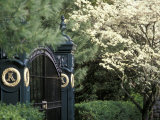 Buy Entrance to Keenland Horse Race Track, Lexington, Kentucky, USA at AllPosters.com