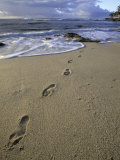 Footprints in the Sand, Turtle Bay Resort Beach, Northshore, Oahu, Hawaii, USA