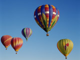 Buy Colorful Hot Air Balloons in Sky, Albuquerque, New Mexico, USA at AllPosters.com