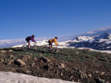 Buy Mountain Biking in Loveland Pass, Colorado, USA at AllPosters.com