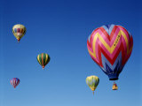 Buy Colorful Hot Air Balloons in Sky, Albuquerque, New Mexico, USA at AllPosters.com