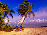 Buy Palm Trees and Beach Chairs, Florida Keys, Florida, USA at AllPosters.com