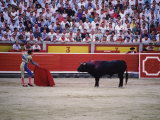 Matador Waving a Red Cape in Front of a Bull