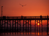 Buy Newport Beach Pier, California, USA at AllPosters.com