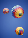 Buy Colorful Hot Air Balloons in Sky, Albuquerque, New Mexico, USA at AllPosters.com