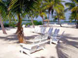 Palm Trees and Beach Chairs, Florida Keys, Florida, USA