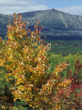 Buy Mt. Katahdin, Appalachian Trail, Maine, USA at AllPosters.com