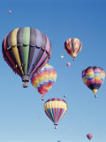 Buy Colorful Hot Air Balloons in Sky, Albuquerque, New Mexico, USA at AllPosters.com