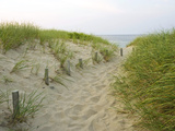 Path at Head of the Meadow Beach, Cape Cod National Seashore, Massachusetts, USA