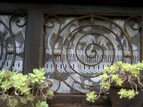 Potted Plants and Ironwork