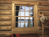 View from Window in Log Cabin
