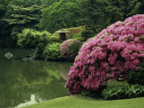Rikugin Garden, Tokyo, Japan