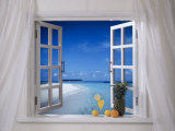 Window with Tropical View