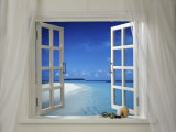 Window with Tropical View