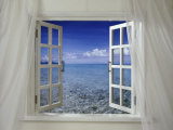 Window with Tropical View
