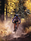 Truckee, California, USA