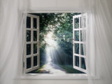 Window with Morning View