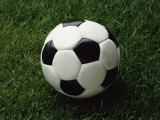 Soccer Ball in Grass