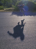 Buy Young Man on a Skateboard at AllPosters.com