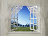 Window with a View