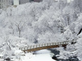 Minneapolis, Minnesota, USA