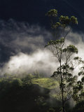 Banos, Ecuador