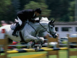 Buy Side Profile of a Man Riding a Horse at AllPosters.com