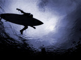 Buy What a Shark Sees at AllPosters.com