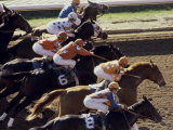 Buy Keeneland Racetrack, Lexington, Kentucky, USA at AllPosters.com