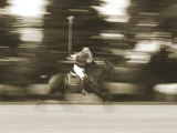 Buy Polo at AllPosters.com