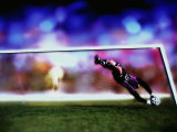 Goalie Diving for the Ball