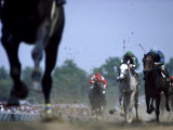 Buy Jockeys Racing at AllPosters.com