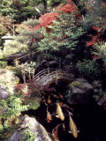 Buy Japan at AllPosters.com