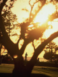 Sunrise Golf Game