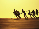 Roller Hockey