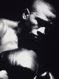 Buy Close-up of a Boxer at AllPosters.com