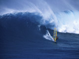 Buy Windsurfer Surfing at AllPosters.com